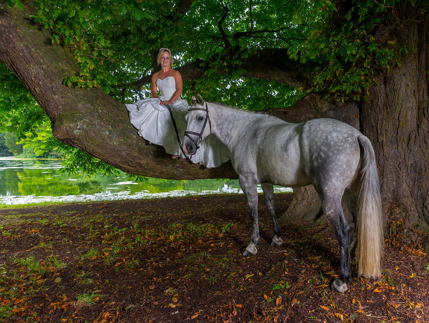 WWE Bridal tree 022 
 West Wycombe Horse shoot 
 Keywords: Buckinghamshire wedding photographer, Horses, Piers Photo, Summer, West Wycombe House