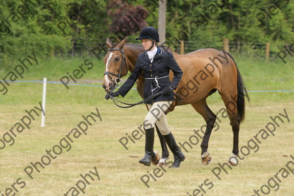 Ridden Veteran Horse 035 
 NRCS Class 23 Ridden Veteran Horse