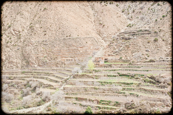 Atlas Mountains Trip 054 
 Keywords: Marrakesh, Morocco, Piers Photography