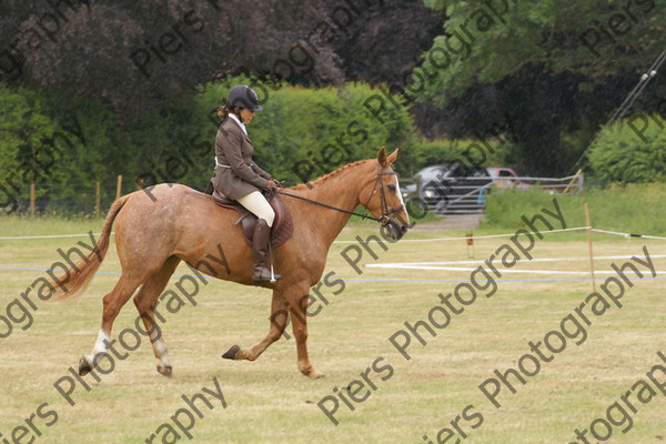 Ridden Veteran Horse 026 
 NRCS Class 23 Ridden Veteran Horse