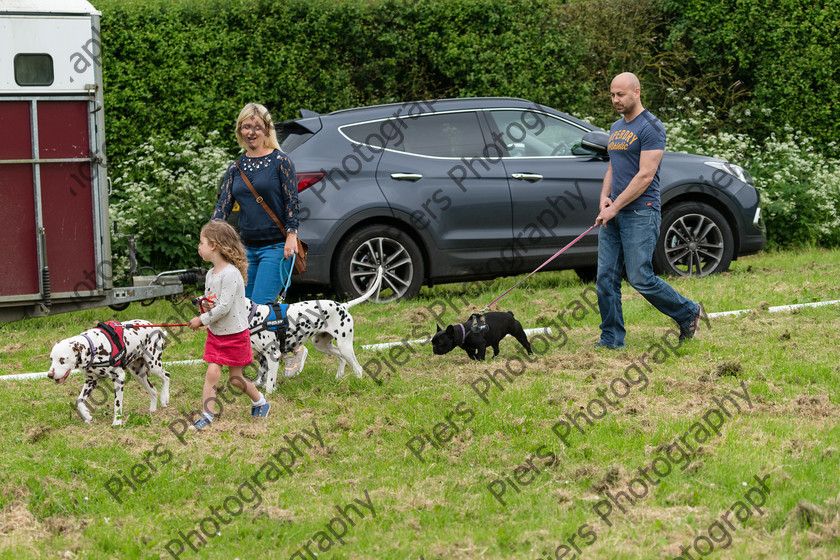 NRC Dog Show 005 
 Naphill Riding Club Open Show 
 Keywords: Naphill Riding Club, Open Show, Equestrian, Piers Photography, Bucks Wedding Photographer