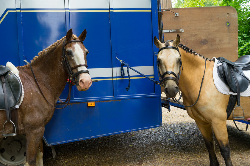 WWE Bridal BHS 016 
 West Wycombe Horse shoot 
 Keywords: Buckinghamshire wedding photographer, Horses, Piers Photo, Summer, West Wycombe House