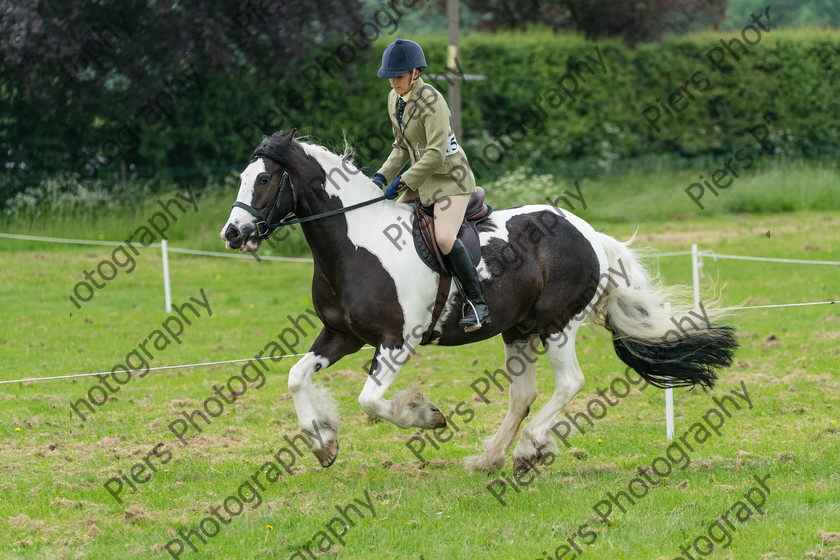 Ring 2 Afternoon 022 
 Naphill Riding Club Open Show 
 Keywords: Naphill Riding Club, Open Show, Equestrian, Piers Photography,
Bucks Wedding Photographer