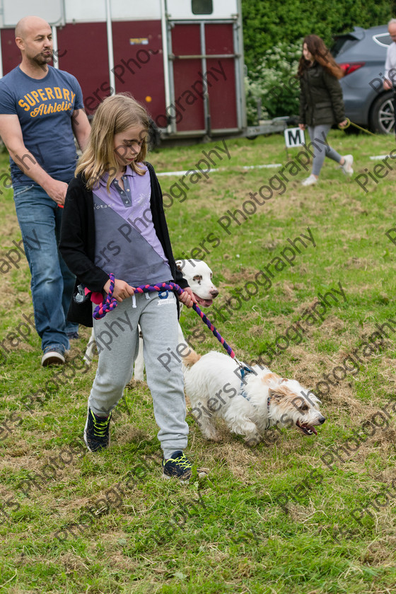 NRC Dog Show 034 
 Naphill Riding Club Open Show 
 Keywords: Naphill Riding Club, Open Show, Equestrian, Piers Photography, Bucks Wedding Photographer