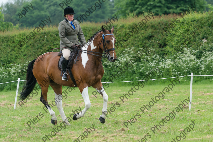 Ring 2 Afternoon 005 
 Naphill Riding Club Open Show 
 Keywords: Naphill Riding Club, Open Show, Equestrian, Piers Photography,
Bucks Wedding Photographer