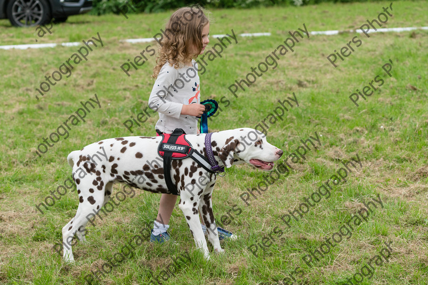 NRC Dog Show 024 
 Naphill Riding Club Open Show 
 Keywords: Naphill Riding Club, Open Show, Equestrian, Piers Photography, Bucks Wedding Photographer