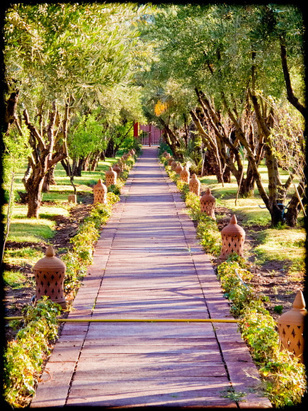 Morroco Hotel 012 
 Eden and Andalou Spa 
 Keywords: Morrocco, Marrakesh, Eden and Andalou Spa