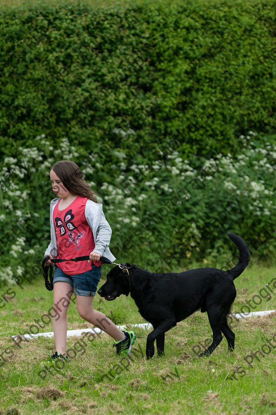 NRC Dog Show 006 
 Naphill Riding Club Open Show 
 Keywords: Naphill Riding Club, Open Show, Equestrian, Piers Photography, Bucks Wedding Photographer