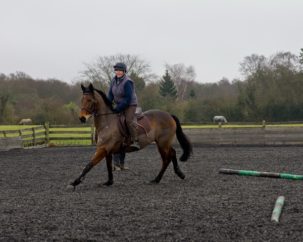 Ollie and Blyth Lesson 32 
 Ollie and Blyth Lesson 
 Keywords: Piers Photo, Moses Plat Yard, Ollie, Blyth, Mary Hilder, Jo Reynolds