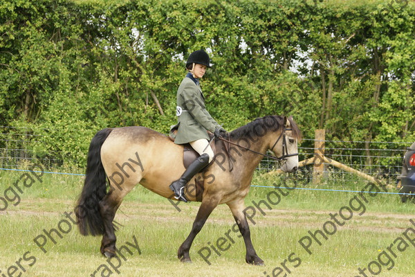 Family Horse 07 
 NRCS Class 20 Family Horse