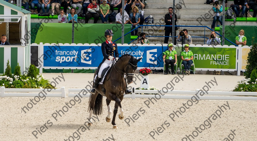 Freestle dressage WEG 030 
 WEG 2014 Freestyle dressage