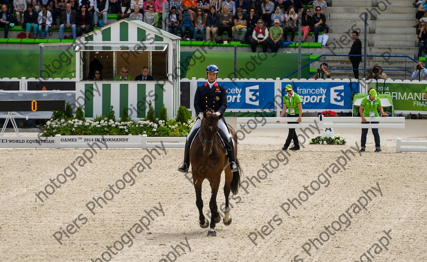 Freestle dressage WEG 006 
 WEG 2014 Freestyle dressage