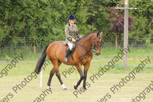 Ridden Veteran Horse 008 
 NRCS Class 23 Ridden Veteran Horse