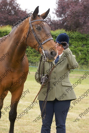 In Hnad Veteran Horse 26 
 NRCS Class 22 In Hand Veteran Horse