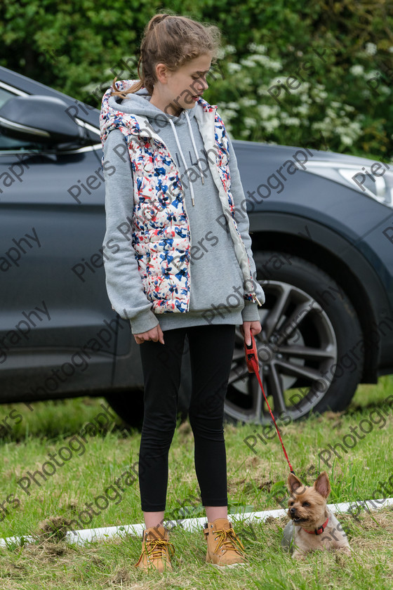 NRC Dog Show 041 
 Naphill Riding Club Open Show 
 Keywords: Naphill Riding Club, Open Show, Equestrian, Piers Photography, Bucks Wedding Photographer