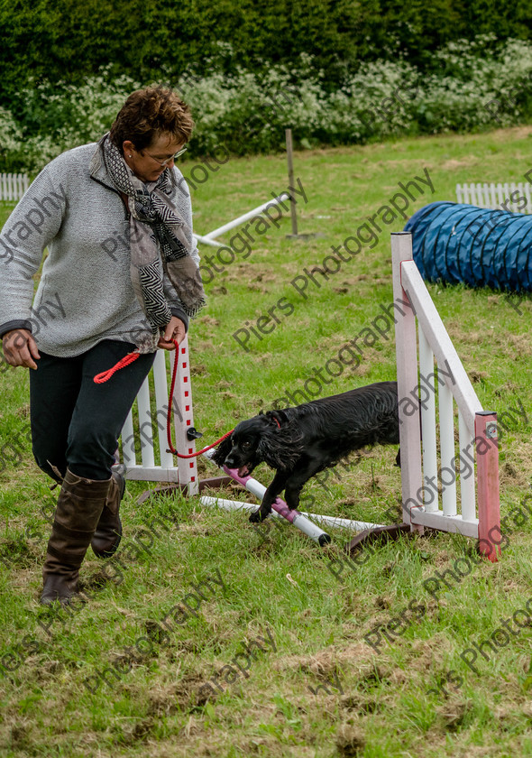 NRC Dog Show 078 
 Naphill Riding Club Open Show 
 Keywords: Naphill Riding Club, Open Show, Equestrian, Piers Photography, Bucks Wedding Photographer