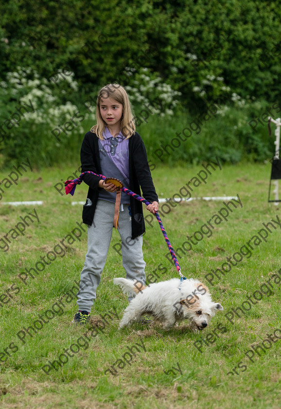 NRC Dog Show 056 
 Naphill Riding Club Open Show 
 Keywords: Naphill Riding Club, Open Show, Equestrian, Piers Photography, Bucks Wedding Photographer