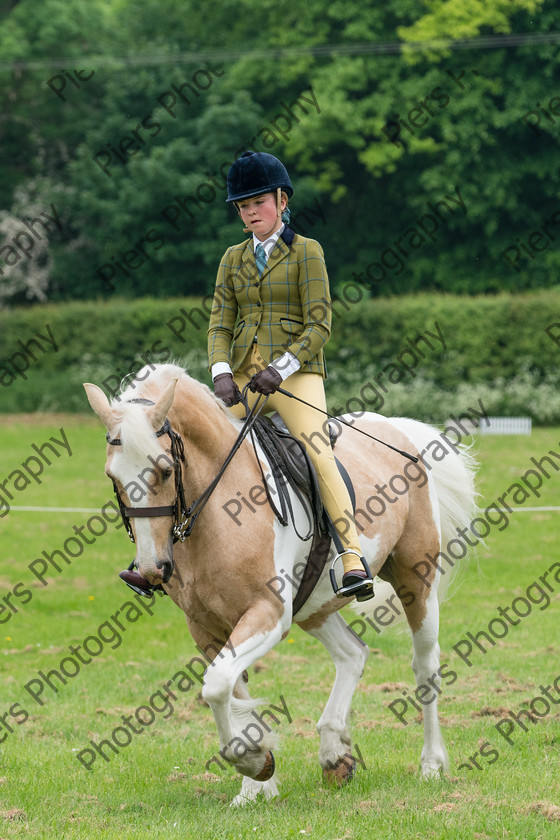 Ring 2 Afternoon 024 
 Naphill Riding Club Open Show 
 Keywords: Naphill Riding Club, Open Show, Equestrian, Piers Photography,
Bucks Wedding Photographer