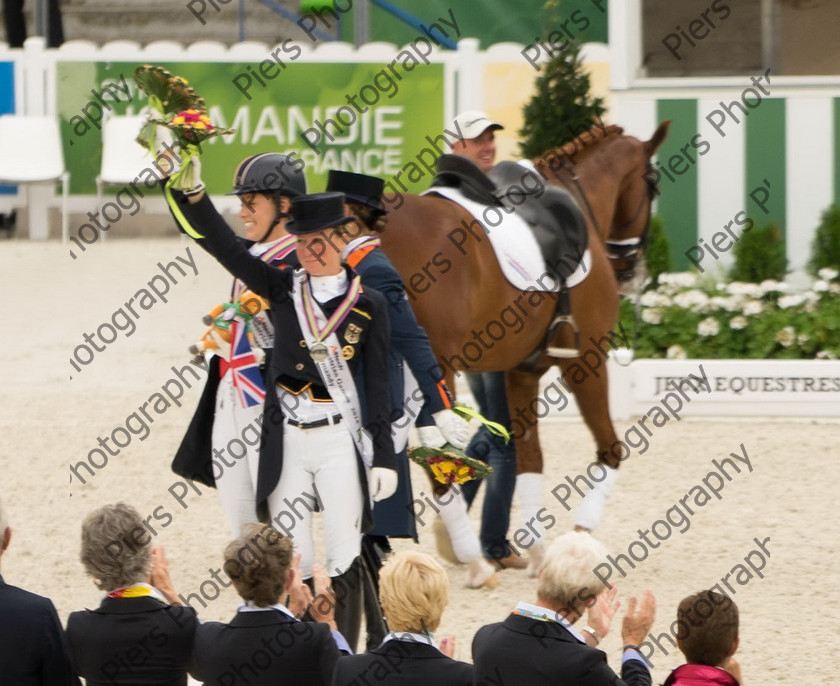 Freestle dressage WEG 074 
 WEG 2014 Freestyle dressage