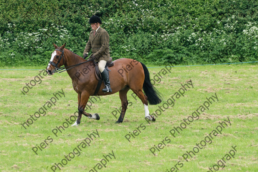 Ring 2 Afternoon 050 
 Naphill Riding Club Open Show 
 Keywords: Naphill Riding Club, Open Show, Equestrian, Piers Photography,
Bucks Wedding Photographer