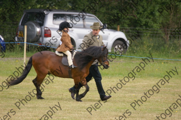 Leading Rein 18 
 NRCS Class 17 Leading Rein