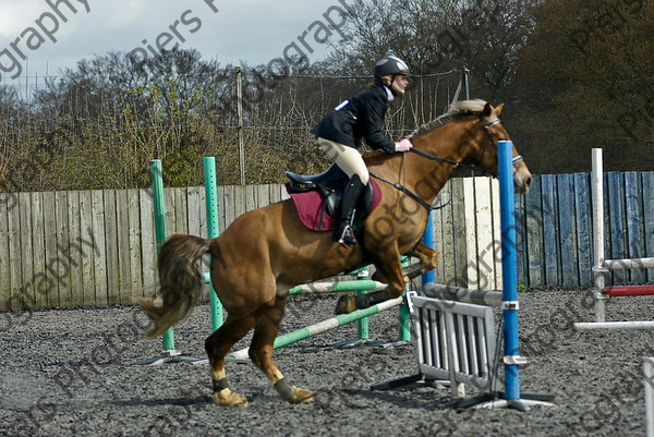 Class 2 50 
 SONY DSC 
 Keywords: Pyatts, Show jumping