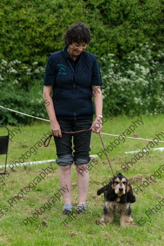 NRC Dog Show 014 
 Naphill Riding Club Open Show 
 Keywords: Naphill Riding Club, Open Show, Equestrian, Piers Photography, Bucks Wedding Photographer