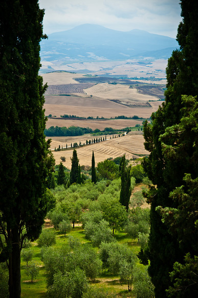 Italian Hols 368 
 Pienza