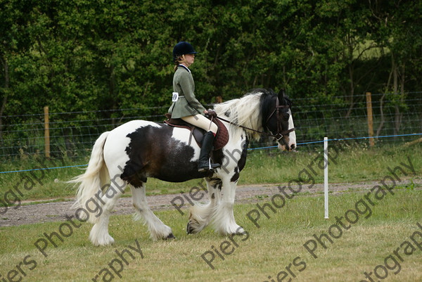 Riding Club Horse-Pony 001 
 NRCS Class 13 Riding Club Horse-Pony