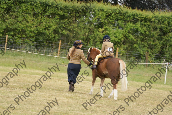 Leading Rein 13 
 NRCS Class 17 Leading Rein