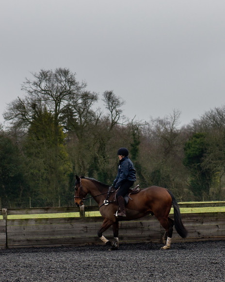 Ollie and Blyth Lesson 01 
 Ollie and Blyth Lesson 
 Keywords: Piers Photo, Moses Plat Yard, Ollie, Blyth, Mary Hilder, Jo Reynolds