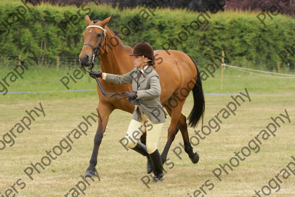 Ridden Veteran Horse 032 
 NRCS Class 23 Ridden Veteran Horse