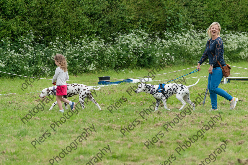 NRC Dog Show 003 
 Naphill Riding Club Open Show 
 Keywords: Naphill Riding Club, Open Show, Equestrian, Piers Photography, Bucks Wedding Photographer