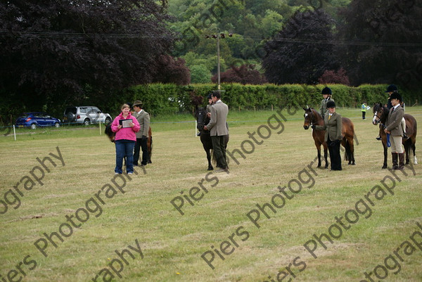 Leading Rein 37 
 NRCS Class 17 Leading Rein