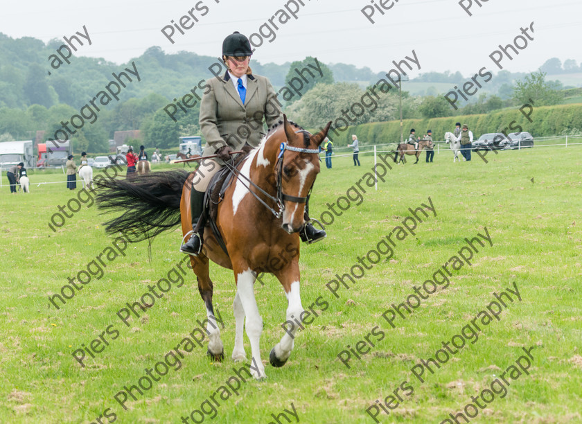 Ring 2 Afternoon 038 
 Naphill Riding Club Open Show 
 Keywords: Naphill Riding Club, Open Show, Equestrian, Piers Photography,
Bucks Wedding Photographer