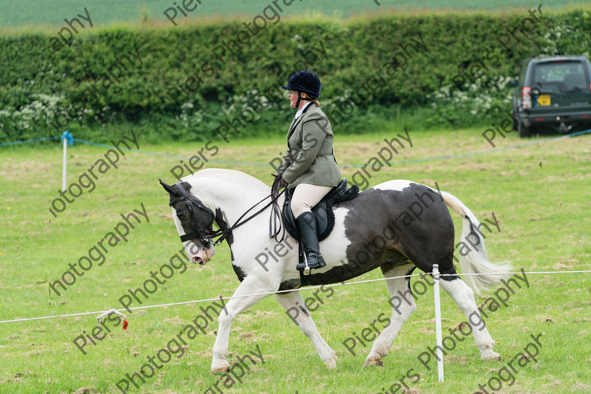 Ring 2 Afternoon 047 
 Naphill Riding Club Open Show 
 Keywords: Naphill Riding Club, Open Show, Equestrian, Piers Photography,
Bucks Wedding Photographer