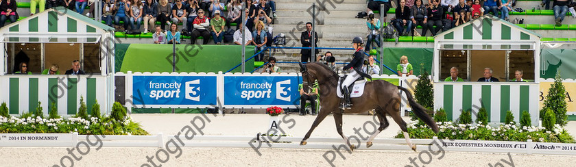 Freestle dressage WEG 029 
 WEG 2014 Freestyle dressage