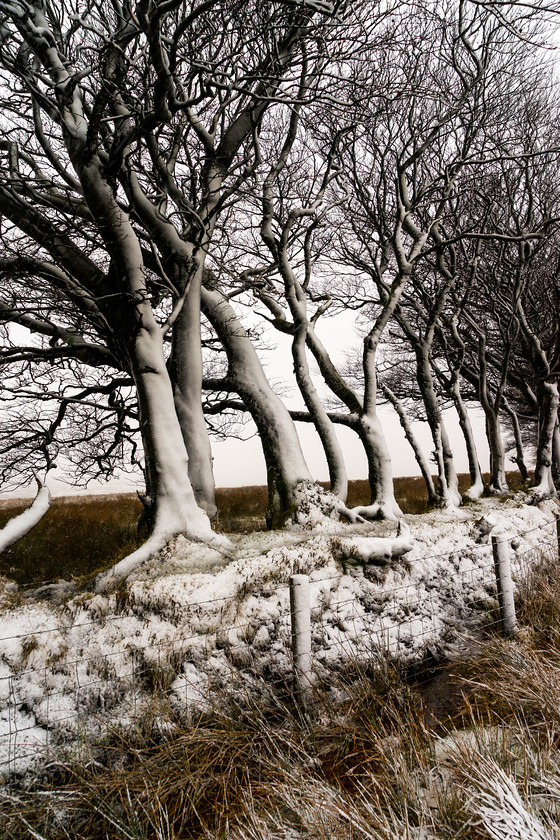 Exmoor 024 
 Exmoor 
 Keywords: Buckinghamshire wedding photographer, Exford, Exmoor, Piers Photography, Robbers Bridge