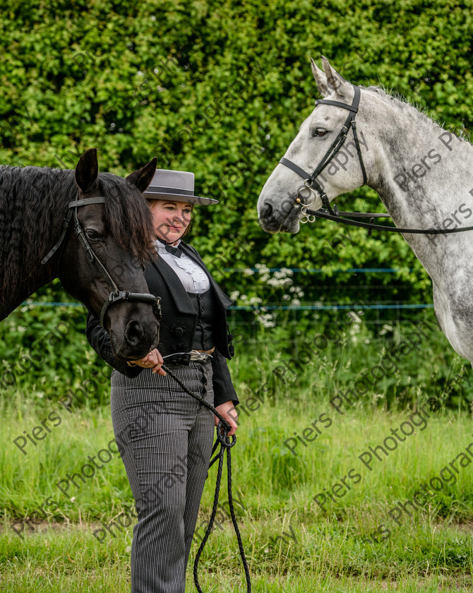 show portraits 14 
 Naphill Riding Club Open Show 
 Keywords: Naphill Riding Club, Open Show, Equestrian, Piers Photography, Bucks Wedding Photographer