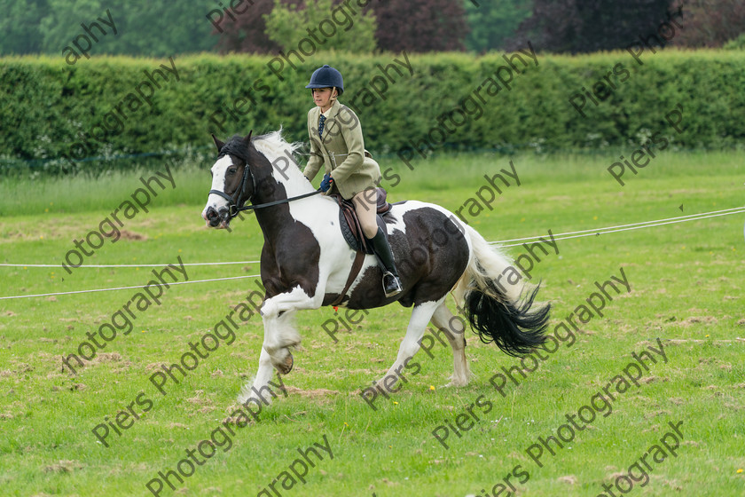 Ring 2 Afternoon 021 
 Naphill Riding Club Open Show 
 Keywords: Naphill Riding Club, Open Show, Equestrian, Piers Photography,
Bucks Wedding Photographer