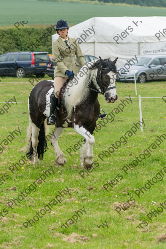Ring 2 Afternoon 002 
 Naphill Riding Club Open Show 
 Keywords: Naphill Riding Club, Open Show, Equestrian, Piers Photography,
Bucks Wedding Photographer