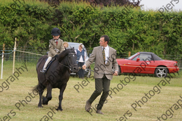 Leading Rein 02 
 NRCS Class 17 Leading Rein