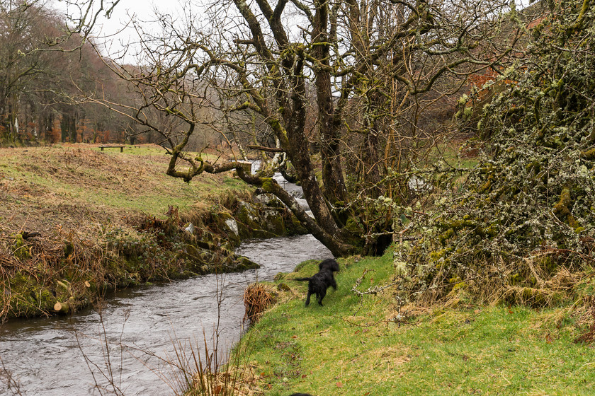 Exmoor 017 
 Exmoor 
 Keywords: Buckinghamshire wedding photographer, Exford, Exmoor, Piers Photography, Robbers Bridge