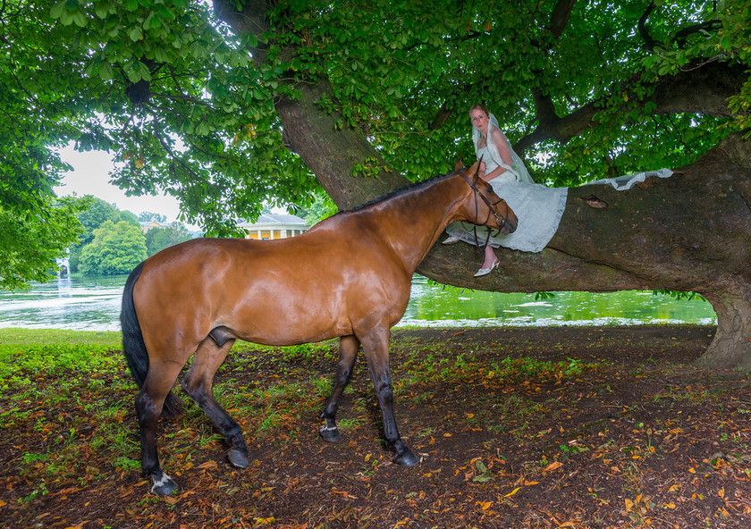 WWE Bridal tree 033 
 West Wycombe Horse shoot 
 Keywords: Buckinghamshire wedding photographer, Horses, Piers Photo, Summer, West Wycombe House