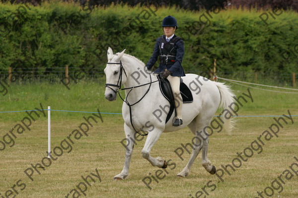 Ridden Veteran Horse 025 
 NRCS Class 23 Ridden Veteran Horse