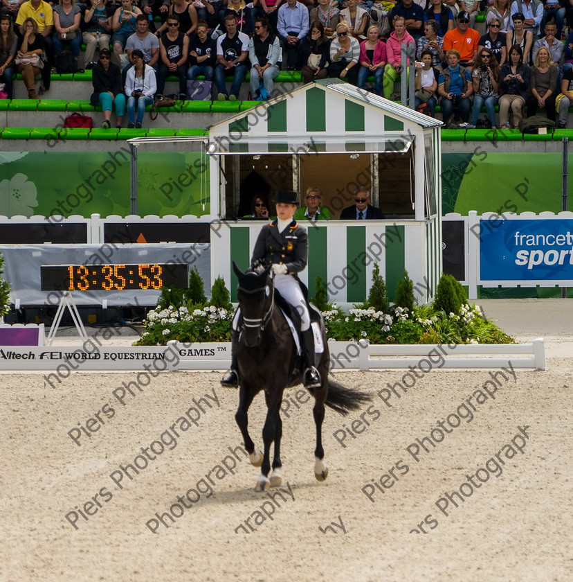 Freestle dressage WEG 002 
 WEG 2014 Freestyle dressage