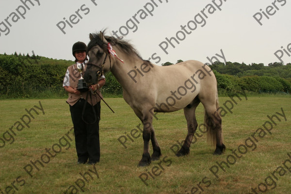 Others 42 
 Naphill Riding Club Show 2011