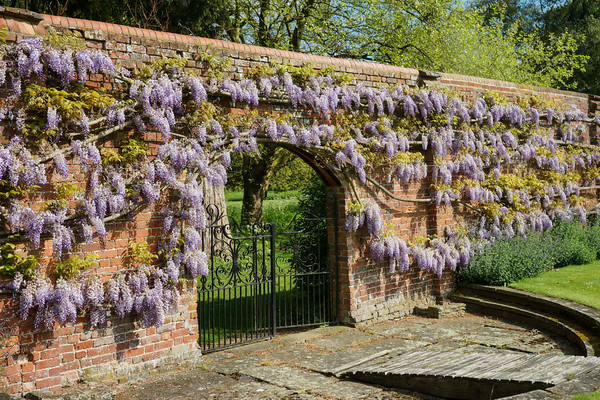 Adwell House 13 
 Adwell House May 2013 
 Keywords: Adwell House, Piers Photos, gardens