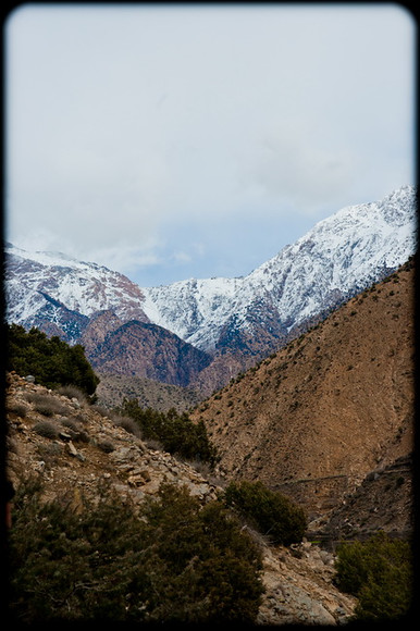 Atlas Mountains Trip 044 
 Keywords: Marrakesh, Morocco, Piers Photography