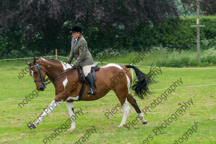 Ring 2 Afternoon 015 
 Naphill Riding Club Open Show 
 Keywords: Naphill Riding Club, Open Show, Equestrian, Piers Photography,
Bucks Wedding Photographer